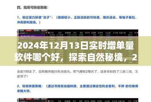 探索自然秘境，开启心灵之旅，揭秘2024年最佳增单量软件助你轻松实现目标