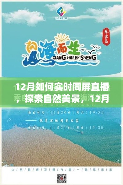 第544页