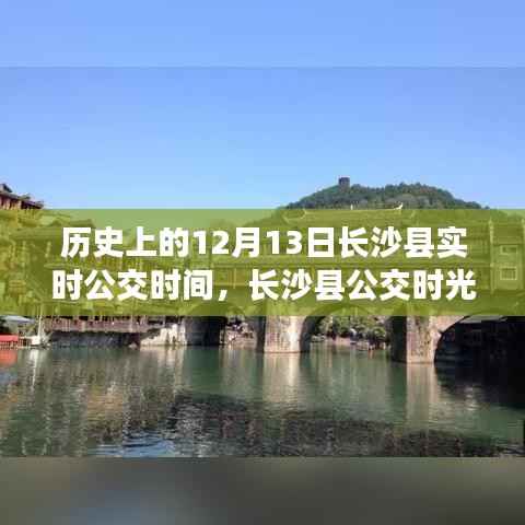 第533页