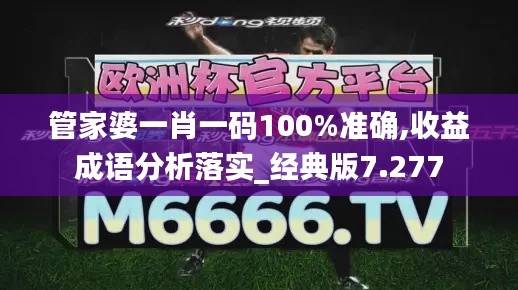 管家婆一肖一码100%准确,收益成语分析落实_经典版7.277
