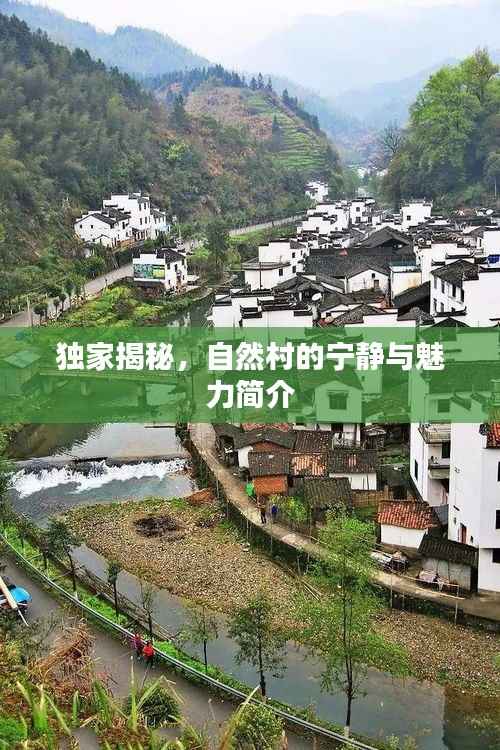 独家揭秘,自然村的宁静与魅力简介