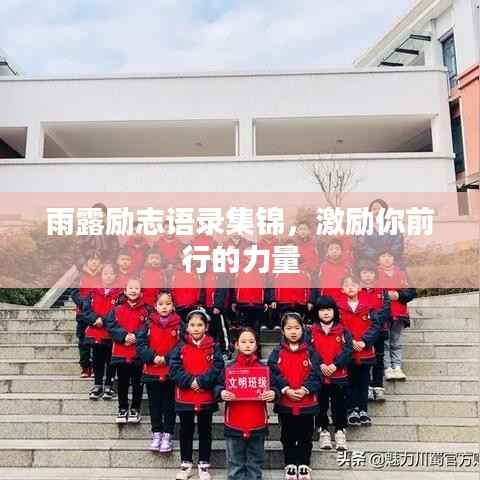 雨露励志语录集锦,激励你前行的力量