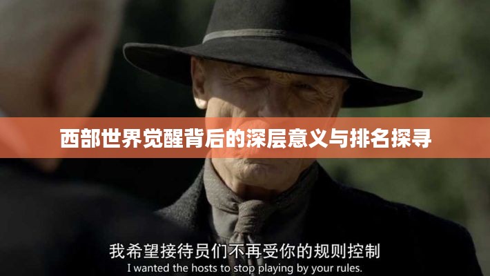 西部世界觉醒背后的深层意义与排名探寻