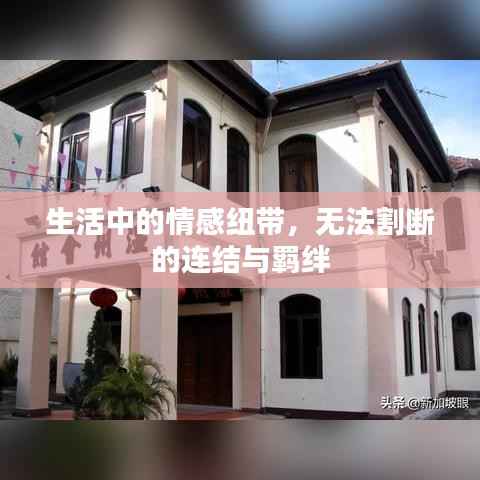 生活中的情感纽带,无法割断的连结与羁绊