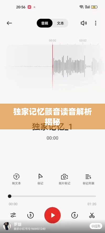 独家记忆颤音读音解析揭秘