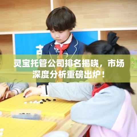 灵宝托管公司排名揭晓，市场深度分析重磅出炉！