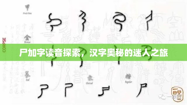 尸加字读音探索,汉字奥秘的迷人之旅