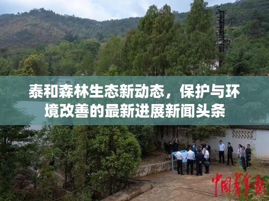 驾轻就熟