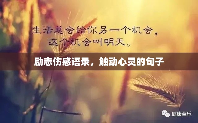 既往不咎